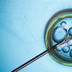 Latest Executive Order about IVF: Calling It Pro-life Does Not Make It So