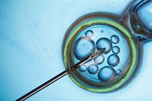 Latest Executive Order about IVF: Calling It Pro-life Does Not Make It So