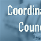 2025 Coordinating Council Annual Report