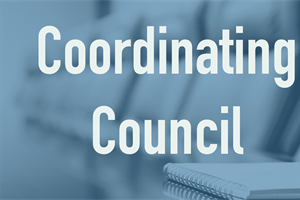 2025 Coordinating Council Annual Report