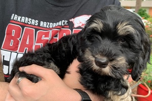 STUDENT MINISTRY: The Outward vs. the Inward