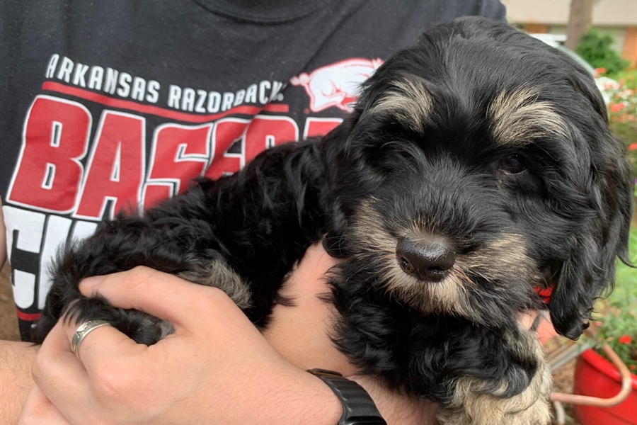 STUDENT MINISTRY: The Outward vs. the Inward