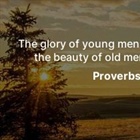 GREEN PASTORS: A Young Pastor’s Perspective