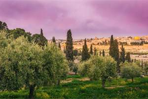 STAND FIRM: The End Times is Just a Regional War - The Disciple’s End...