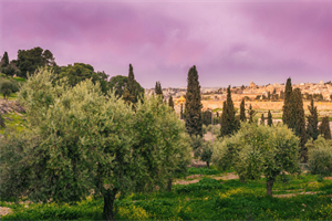 STAND FIRM: The End Times is Just a Regional War - The Disciple’s End Times View (Part 1)