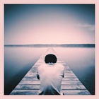 EVERYTHING WE NEED: What Kind of Church are You?