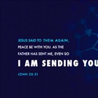 HEALTHY CHURCH: The Mission of God