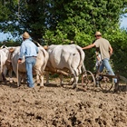 STATE MISSIONS: Strength in Numbers