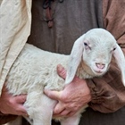 STATE MISSIONS: Psalm 23 (Part 2 of 8)