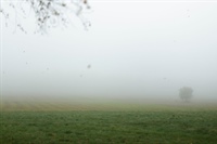 WMA: The Fog