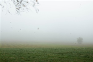 WMA: The Fog