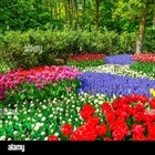 JUST THINKING: Spring Praying