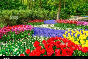 JUST THINKING: Spring Praying