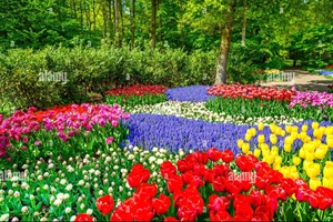 JUST THINKING: Spring Praying