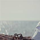 STAND FIRM: The Second Greatest Prophecy Conference