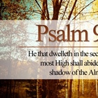 EVERYTHING WE NEED: Seek Shelter Now!