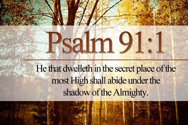 EVERYTHING WE NEED: Seek Shelter Now!