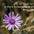 EVERYTHING WE NEED: What Pleases the Lord? Find Out!