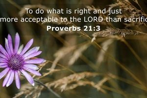 EVERYTHING WE NEED: What Pleases the Lord? Find Out!