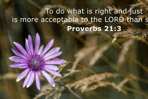EVERYTHING WE NEED: What Pleases the Lord? Find Out!