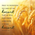 HEALTHY CHURCH: Remember, Remain, Resolve