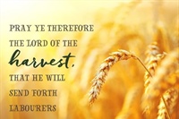 HEALTHY CHURCH: Remember, Remain, Resolve