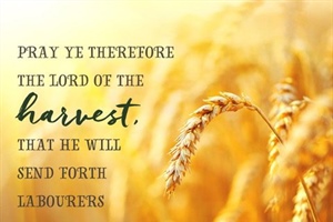 HEALTHY CHURCH: Remember, Remain, Resolve