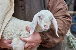 STATE MISSIONS: Psalms 23 (Part 8) 