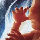 Abortion Rate Drops 20% Since 2011