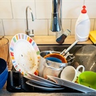 THE HEDGE: The Blessing of Dirty Dishes