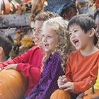 SAFETY FIRST: Fall Festival Events: Harvest the Fun, Not the Risks