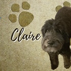 STUDENT MINISTRY: Are You a Claire or a Claude?