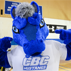 CBC SPORTS: Women's Volleyball Dominates Rust College