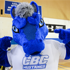 CBC SPORTS: Men's Basketball Gets Win