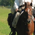 STATE MISSIONS: Circuit Riding Preacher