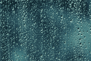 STAND FIRM: Overcoming Because of Purpose