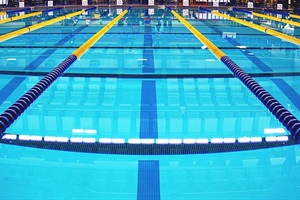 The Conflict at the Heart Of The Transgender Movement