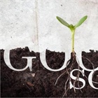 Good Soil Evangelism And Discipleship Conference