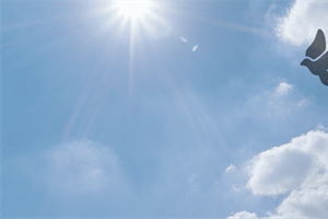 Fundraiser Banquet For We Are Free