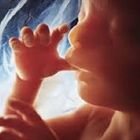 Abortion Rate Drops 20% Since 2011