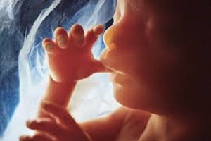 Abortion Rate Drops 20% Since 2011