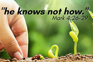 THE HEDGE: I Know Not How