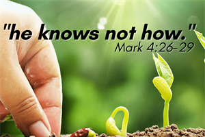 THE HEDGE: I Know Not How