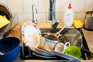 THE HEDGE: The Blessing of Dirty Dishes