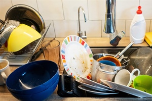 THE HEDGE: The Blessing of Dirty Dishes