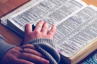 THE HEDGE: I'll Take That Compliment