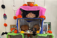 SPOTLIGHT ON MISSIONS: AJ • Reaching the 10/40 Window