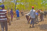 SPOTLIGHT ON MISSIONS: Mickeal & Sharon Quillman • Zambia