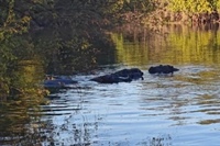 SPOTLIGHT ON MISSIONS: Mickeal & Sharon Quillman • Zambia