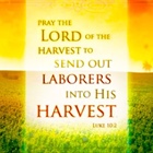 THE HEDGE: Laboring for the Lord